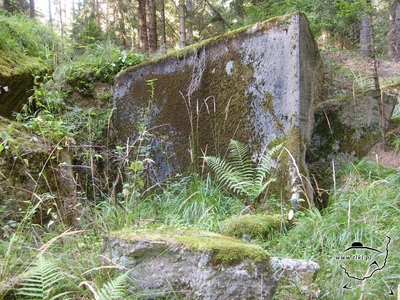 tl425